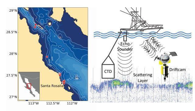 A map of the Gulf of California with Driftcam deployments, right. System diagram with echosounder, boat, and Driftcam, left.