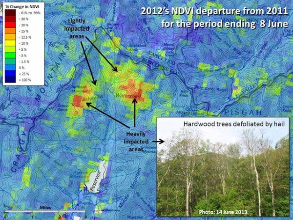 U.S. Forest Change Assessment Viewer map showing damage to the Asheville, North Carolina watershed following a 2012 hail storm. U.S. Forest Change Assessment Viewer map showing damage to the Asheville, North Carolina watershed following a 2012 hail storm.