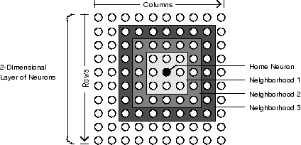 Graph showing a home neuron in a two-dimensional layer of neurons.