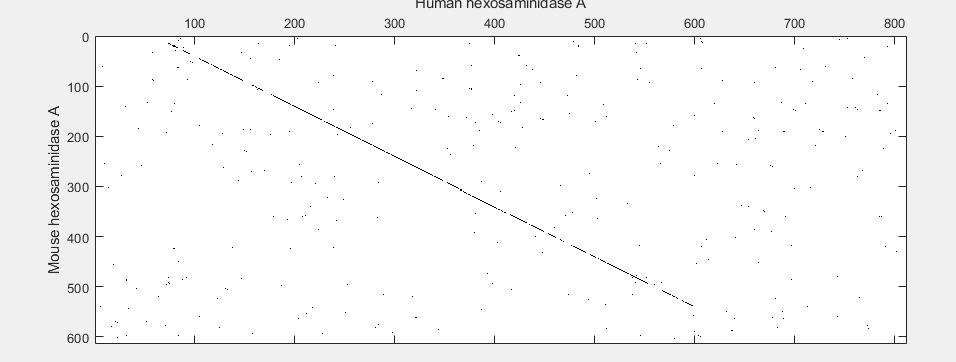 Figure contains an axes object. The axes object with xlabel Human hexosaminidase A, ylabel Mouse hexosaminidase A contains an object of type image.