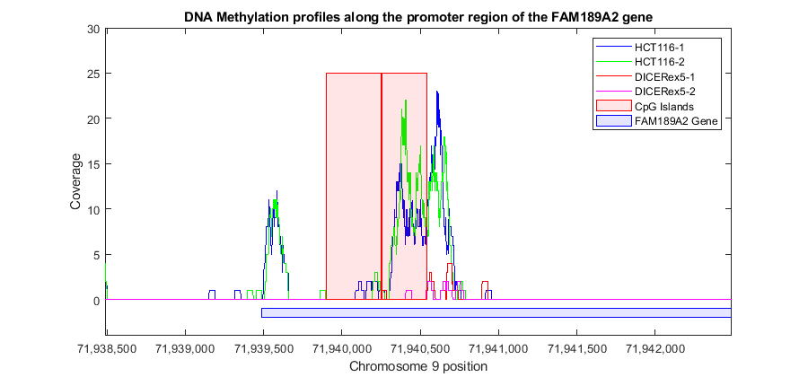 Exploring Genome-Wide Differences in DNA Methylation Profiles