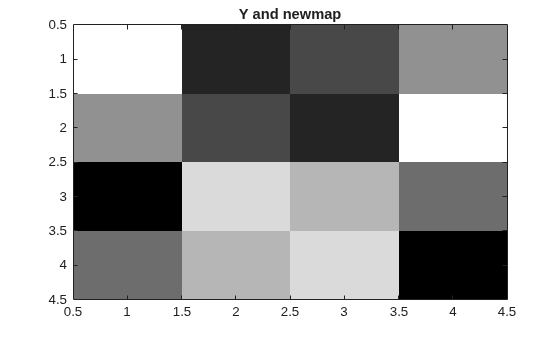Figure contains an axes object. The axes object with title Y and newmap contains an object of type image.