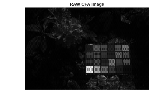 Figure contains an axes object. The hidden axes object with title RAW CFA Image contains an object of type image.
