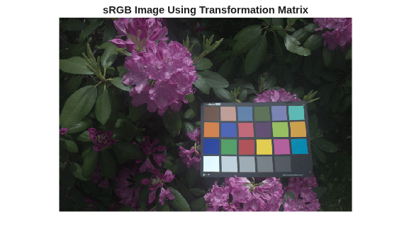 Figure contains an axes object. The hidden axes object with title sRGB Image Using Transformation Matrix contains an object of type image.