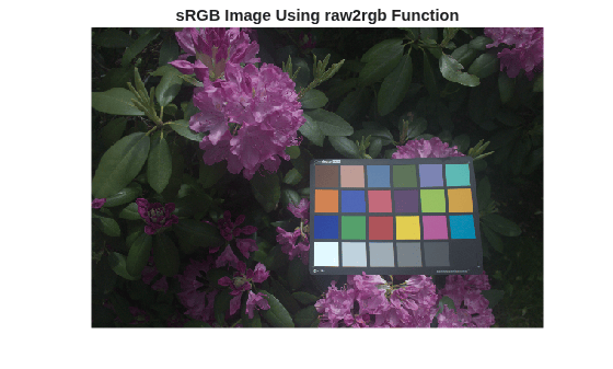 Figure contains an axes object. The hidden axes object with title sRGB Image Using raw2rgb Function contains an object of type image.