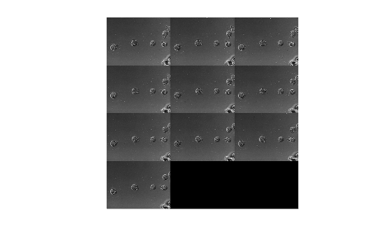 Figure contains an axes object. The hidden axes object contains an object of type image.