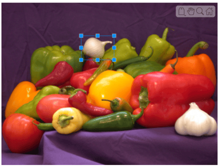 Peppers image displayed with rectangle ROI around an onion.