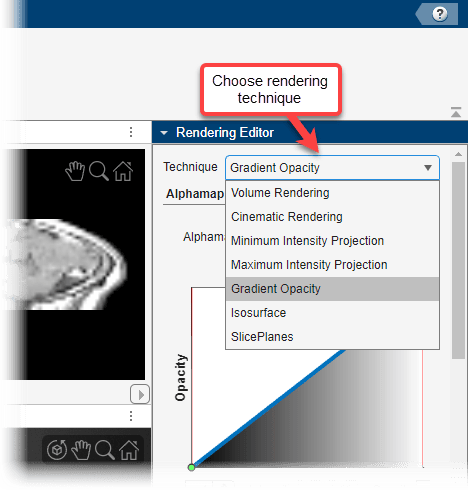 Rendering Editor pane with callout labeling the dropdown menu for rendering techniques