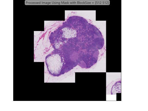 Process Blocked Images Efficiently Using Mask