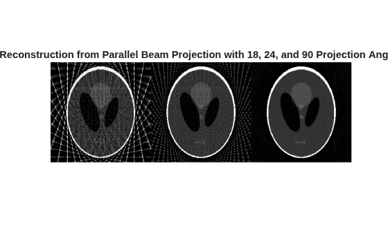 Reconstructing an Image from Projection Data