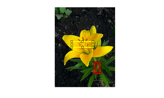 Figure contains an axes object. The hidden axes object contains 3 objects of type image, images.roi.rectangle.