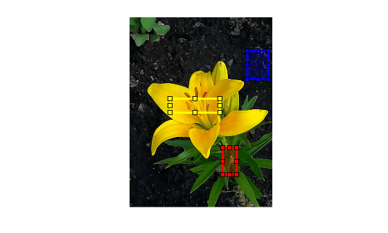Figure contains an axes object. The hidden axes object contains 4 objects of type image, images.roi.rectangle.