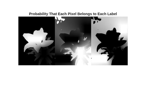 Figure contains an axes object. The hidden axes object with title Probability That Each Pixel Belongs to Each Label contains an object of type image.