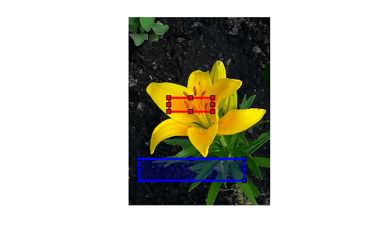Figure contains an axes object. The hidden axes object contains 3 objects of type image, images.roi.rectangle.