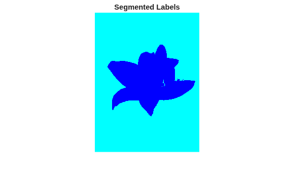 Figure contains an axes object. The hidden axes object with title Segmented Labels contains an object of type image.