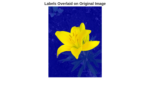 Figure contains an axes object. The hidden axes object with title Labels Overlaid on Original Image contains an object of type image.
