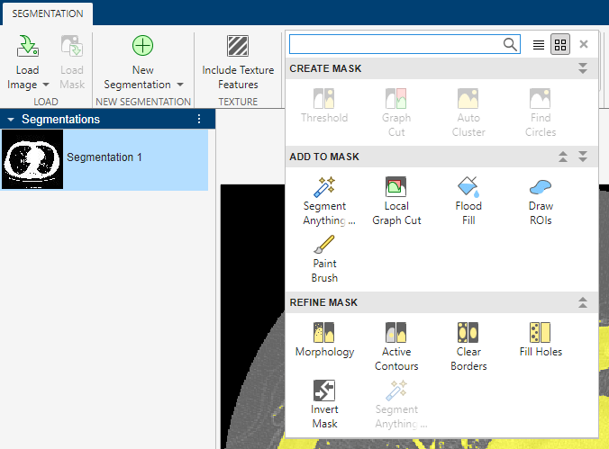 Segmentation tools, including tools for refining a mask.