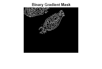 Figure contains an axes object. The hidden axes object with title Binary Gradient Mask contains an object of type image.