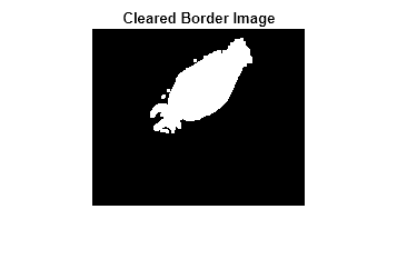 Figure contains an axes object. The hidden axes object with title Cleared Border Image contains an object of type image.