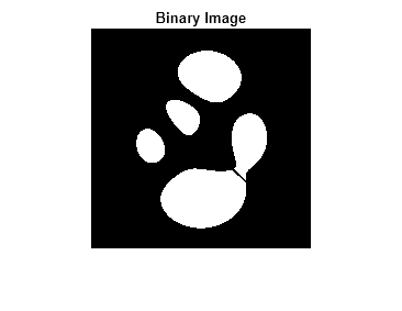 Figure contains an axes object. The hidden axes object with title Binary Image contains an object of type image.