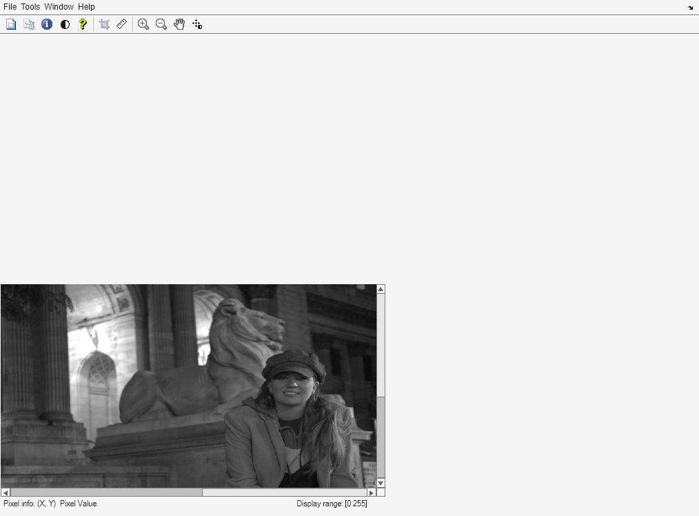 Figure Image Tool 1 - mandi.rset contains an axes object and other objects of type uimenu, uitoolbar, uipanel. The hidden axes object contains an object of type image.