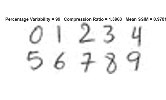 Figure contains an axes object. The hidden axes object with title Percentage Variability = 99 Compression Ratio = 1.3968 Mean SSIM = 0.9701 contains an object of type image.