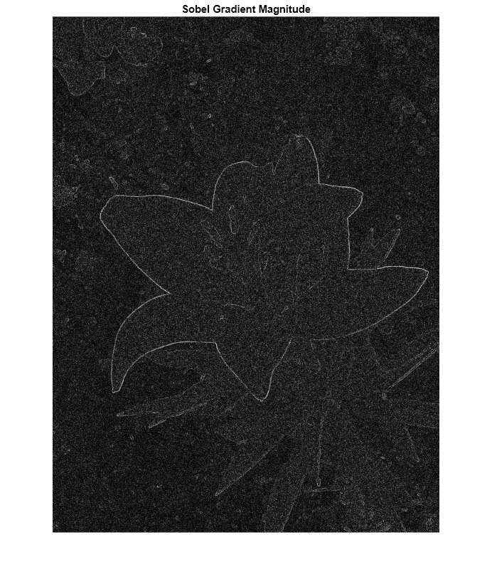 Figure contains an axes object. The hidden axes object with title Sobel Gradient Magnitude contains an object of type image.