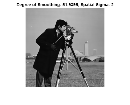 Figure contains an axes object. The hidden axes object with title Degree of Smoothing: 51.9395, Spatial Sigma: 2 contains an object of type image.