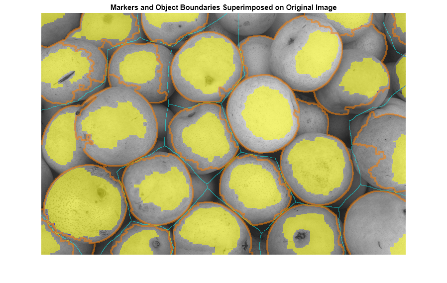 Figure contains an axes object. The hidden axes object with title Markers and Object Boundaries Superimposed on Original Image contains an object of type image.