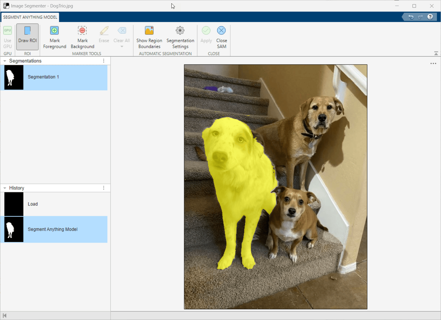 Segment Objects Using Segment Anything Model (SAM) in Image Segmenter