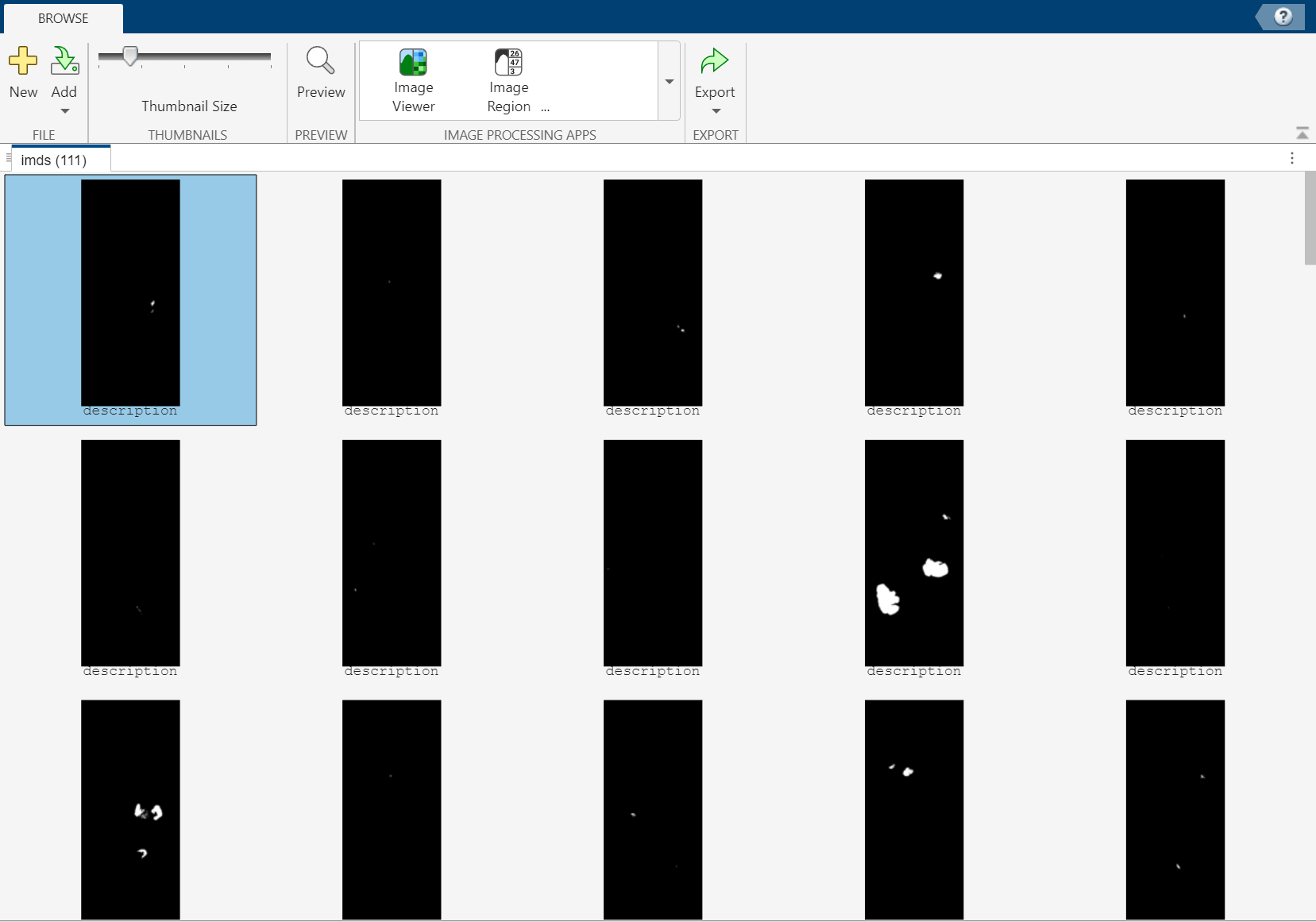 Image Browser app window showing thumbnails of tumor masks