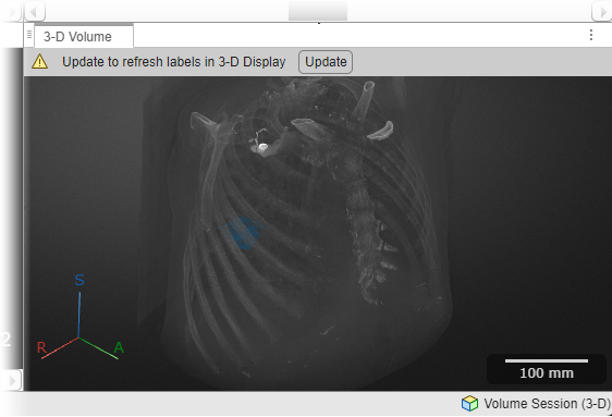 3-D Volume pane with warning to update display to view recently drawn labels