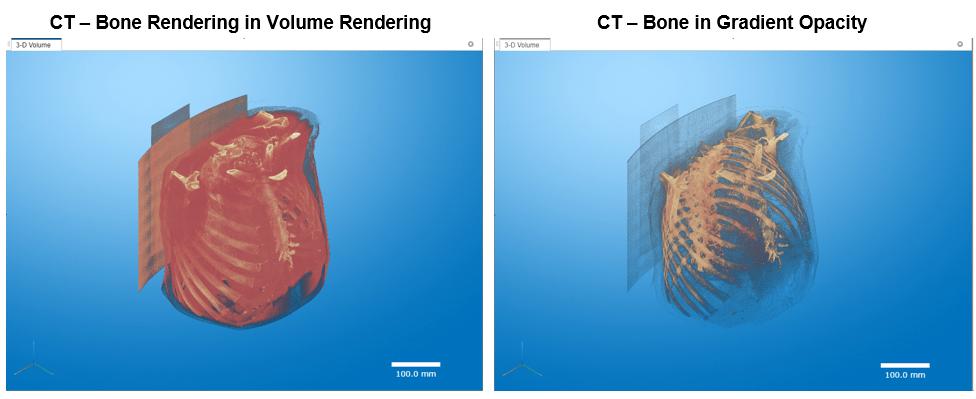 Animation panel for generating 2-D slice animations