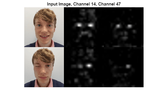 Figure contains an axes object. The hidden axes object with title Input Image, Channel 14, Channel 47 contains an object of type image.