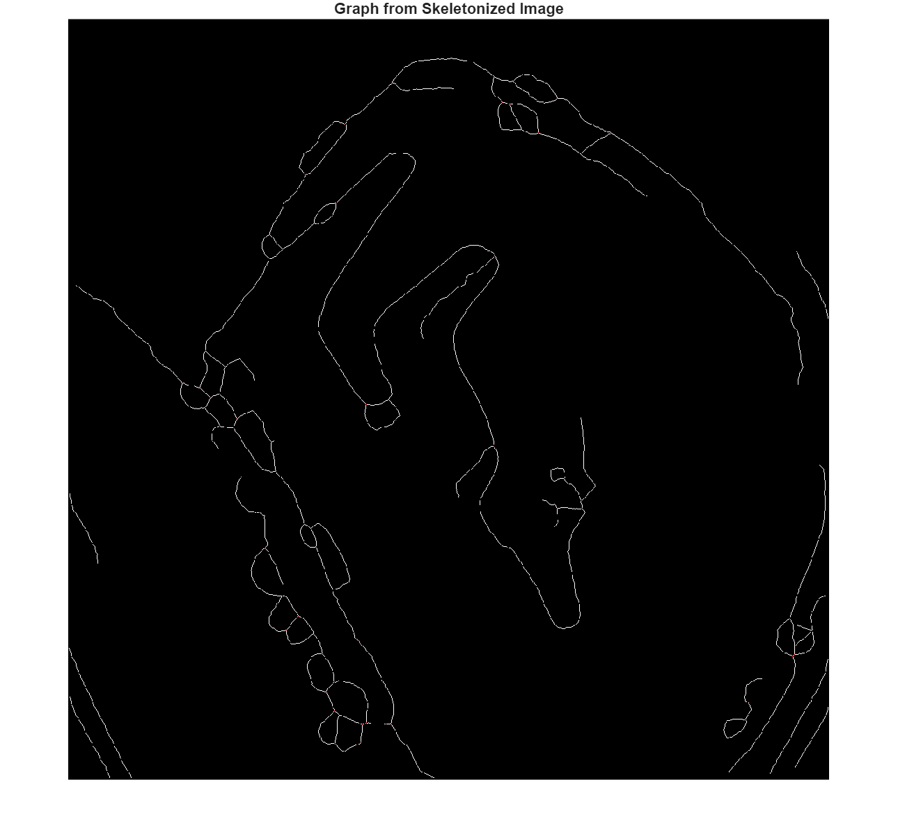 Figure contains an axes object. The hidden axes object with title Graph from Skeletonized Image contains 2 objects of type image.