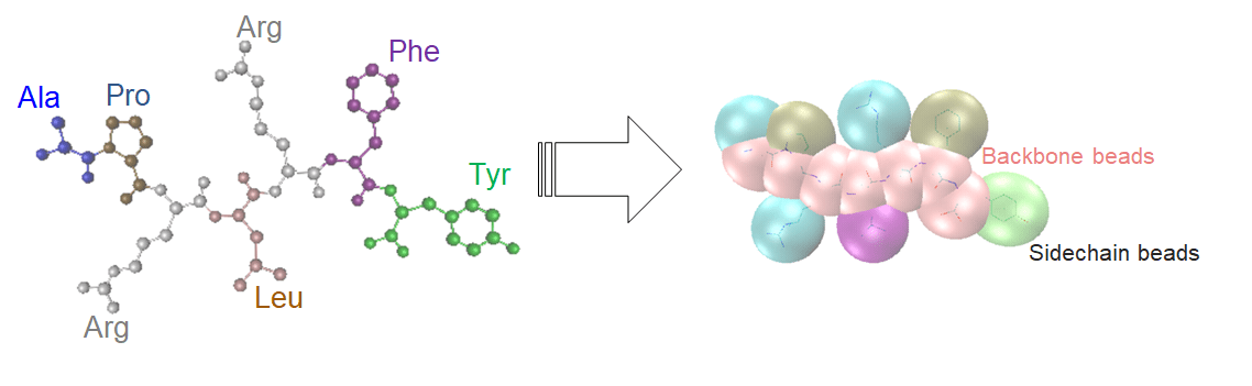 neuropeptide-APRLRFY-image.png