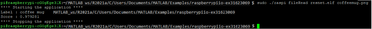 raspberrypi_ssh_resnet50_output.png