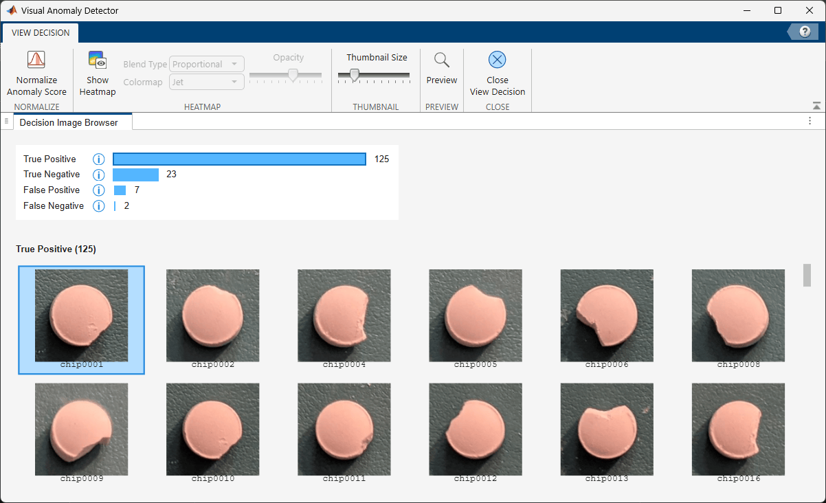 View Decision tab showing result categories of True Positive, True Negative, False Positive, and False Negative, with corresponding images filtered below