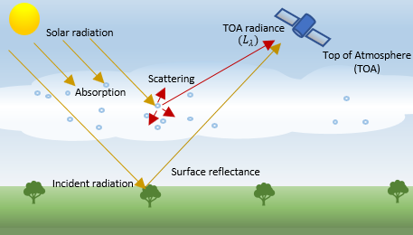 Hyperspectral Data Correction - MATLAB & Simulink MathWorks España