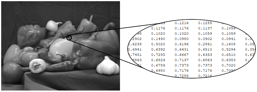 Grayscale image accompanied by a selection of printed pixel values