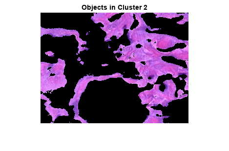 Figure contains an axes object. The axes object with title Objects in Cluster 2 contains an object of type image.