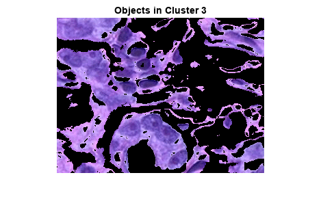 Figure contains an axes object. The axes object with title Objects in Cluster 3 contains an object of type image.