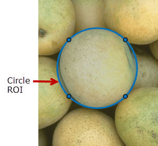 Blue Circle ROI drawn over a round object in an image.