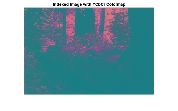 Figure contains an axes object. The axes object with title Indexed Image with YCbCr Colormap contains an object of type image.