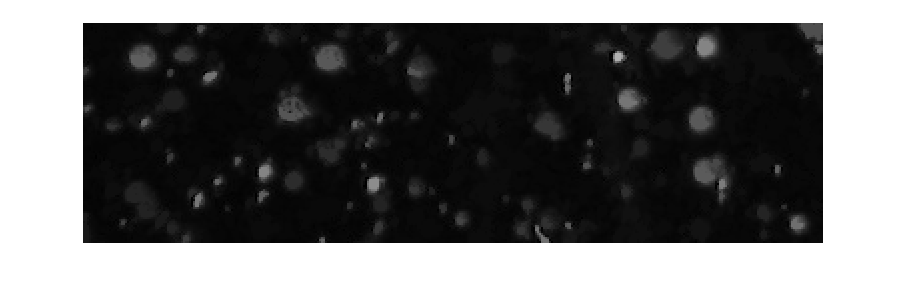 Figure contains an axes object. The hidden axes object contains an object of type image.