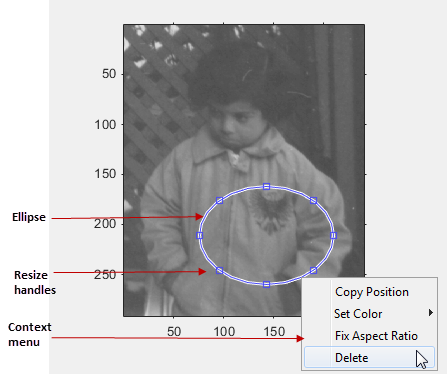 Blue ellipse displayed over an image, with draggable points to resize the ellipse and a context menu that gives options to copy the position, set the color, fix the aspect ratio, or delete the ellipse.