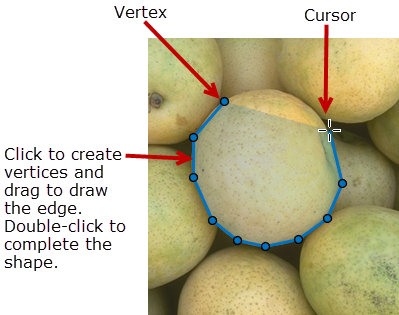 Blue Polygon ROI with 10 vertices drawn over an object in an image.