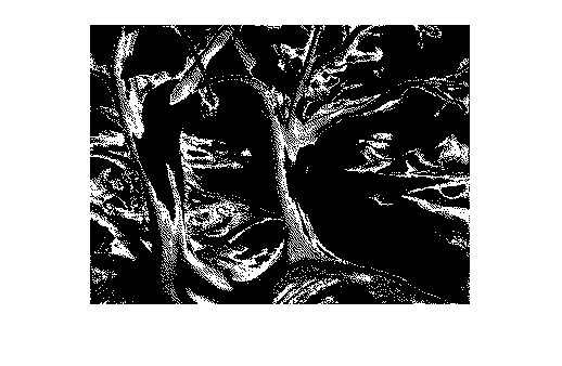 Figure contains an axes object. The hidden axes object contains an object of type image.