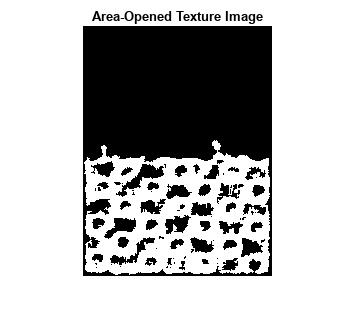 Figure contains an axes object. The axes object with title Area-Opened Texture Image contains an object of type image.