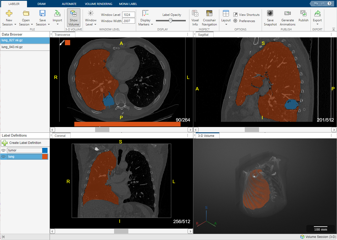 Medical Image Labeler App